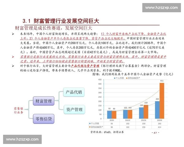 聚焦长期稳健增长实现投资回报最大化路径与策略及风险管理实践方案